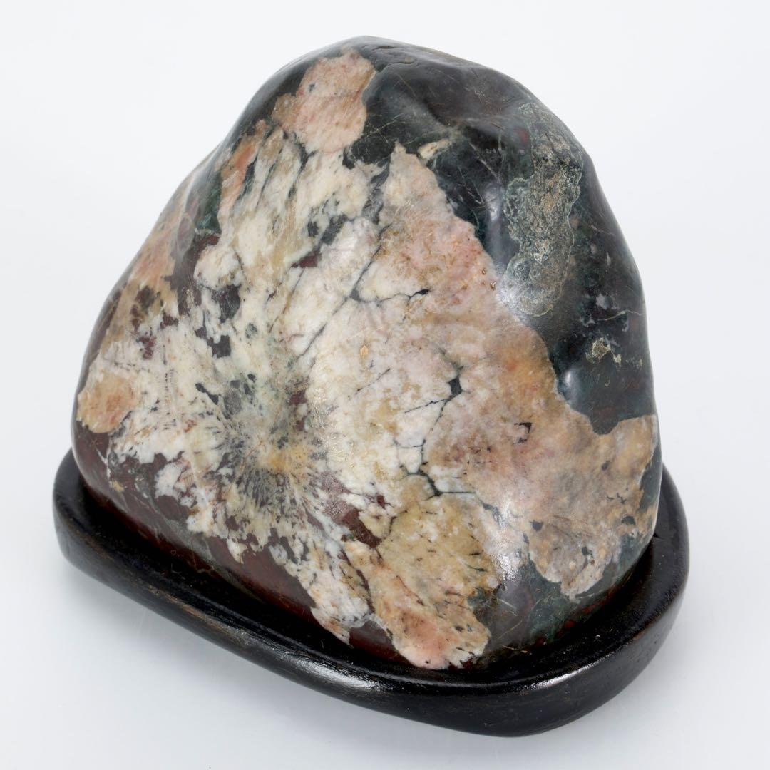 菊花石 菊紋石 紋石 台座付 635g 鑑賞石 原石 自然石 美石 小品盆栽