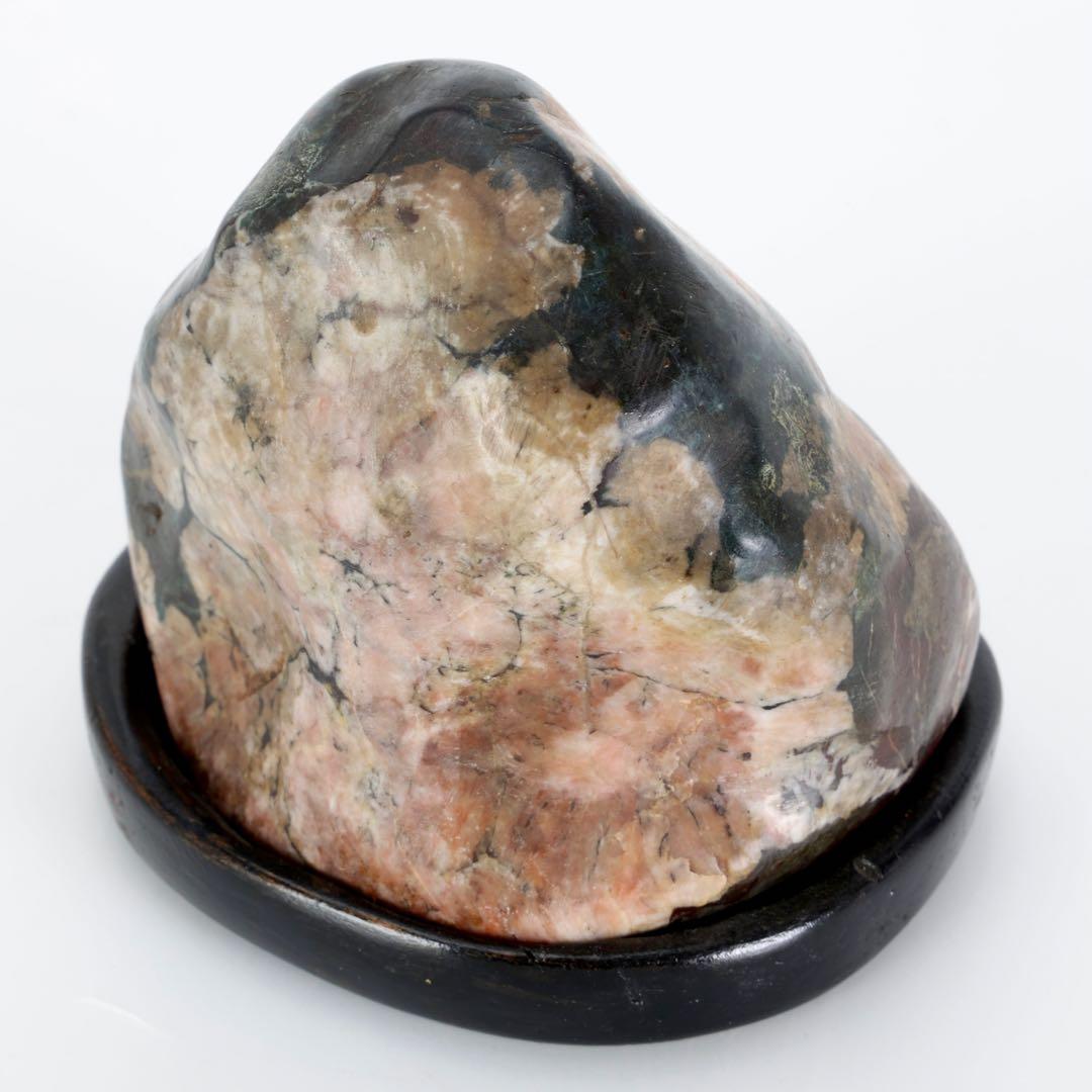 菊花石 菊紋石 紋石 台座付 635g 鑑賞石 原石 自然石 美石 小品盆栽