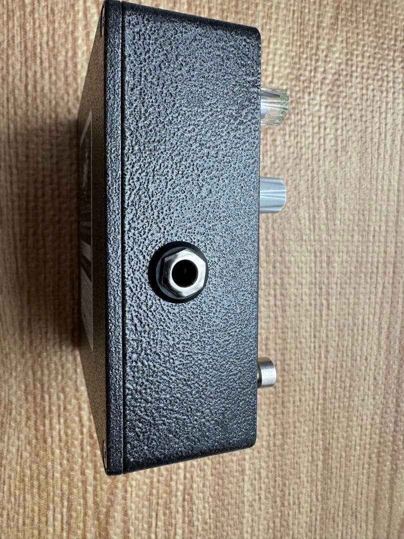 !*H様 Earthquaker Devices Avalanche Run V