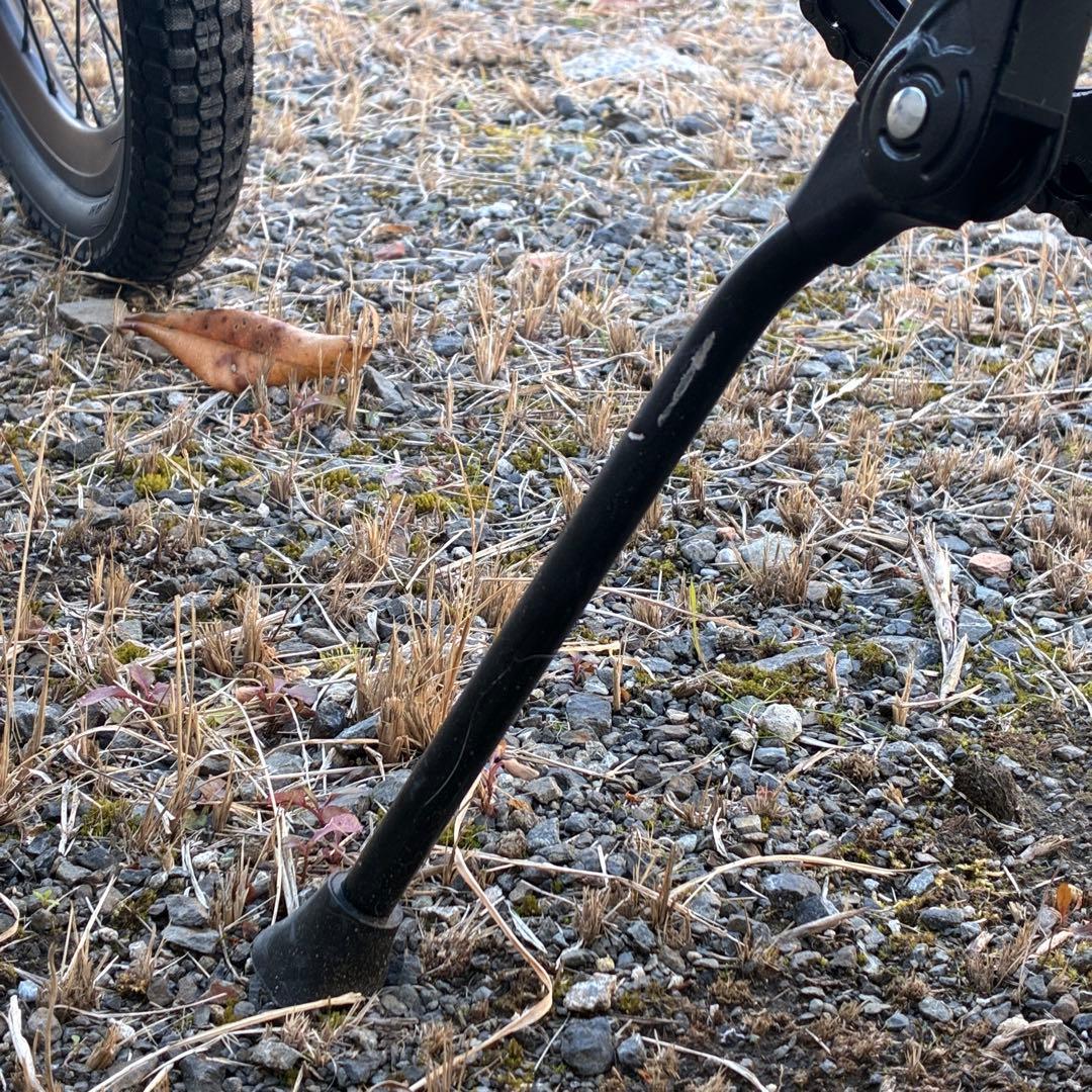 Tern AMP F1 BLACK 500 ミニベロ