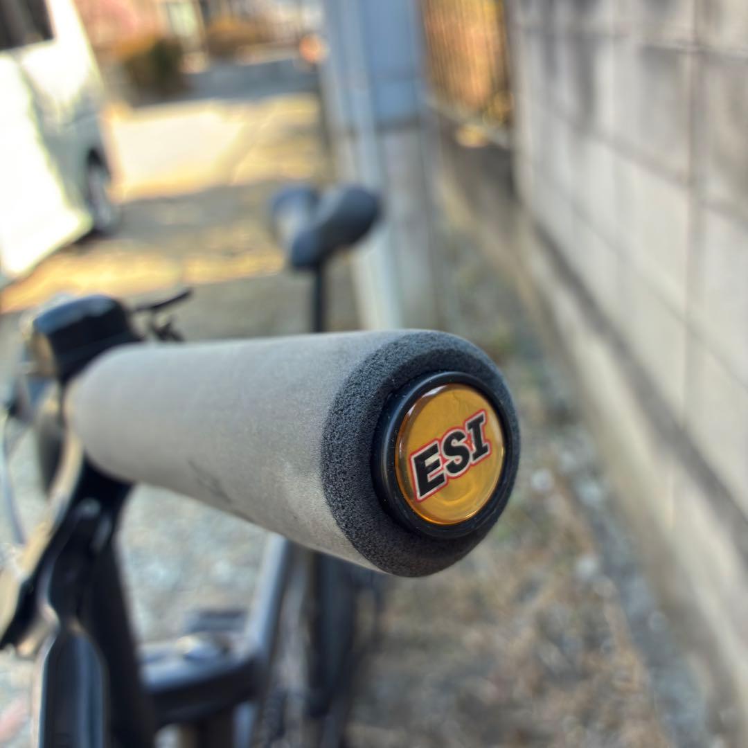 Tern AMP F1 BLACK 500 ミニベロ