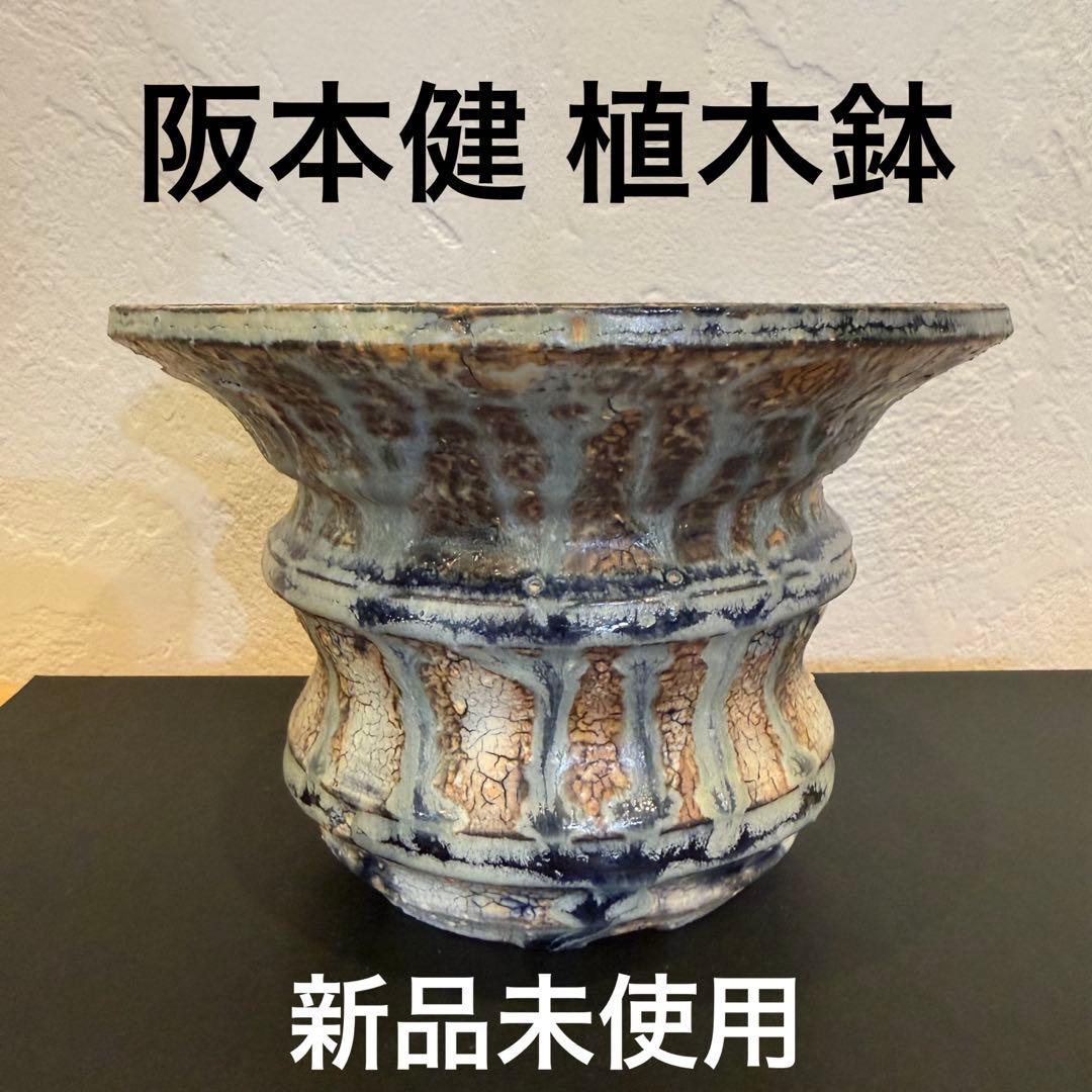 新品未使用 大人気 レア 阪本健 植木鉢 作家鉢 青
