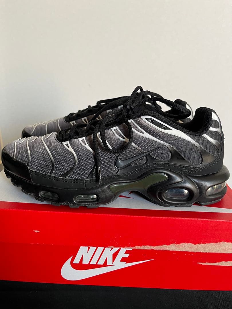 ナイキ　エアマックスプラスtn