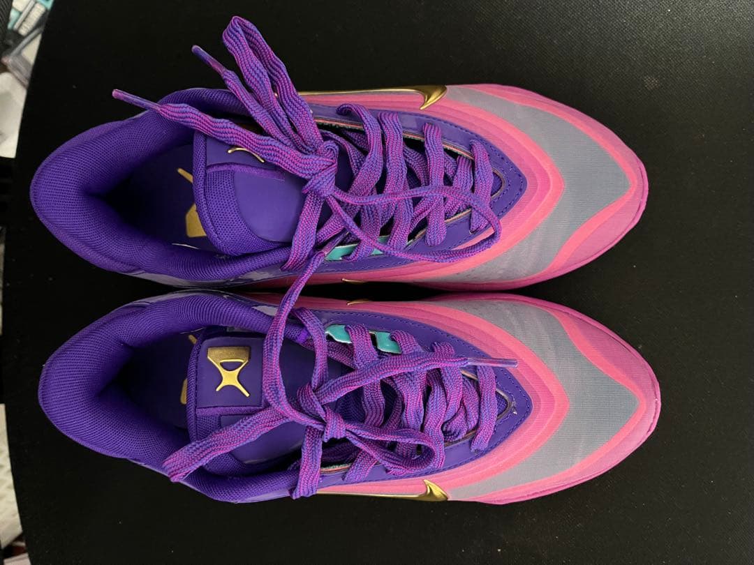 Nike A’One OG Pearls EP FZ8606-500 バッシュ