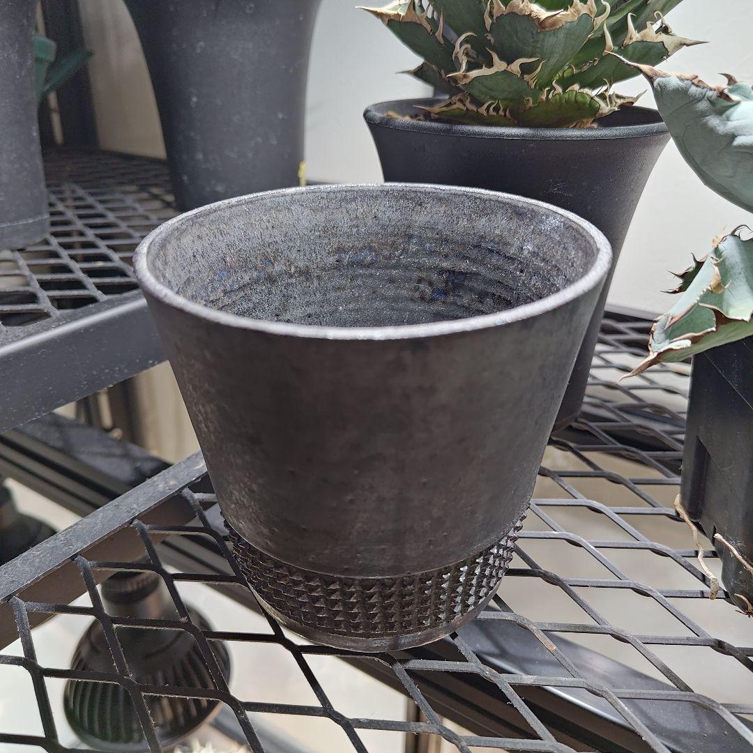 spicy gem. スパイシージェム　作家鉢