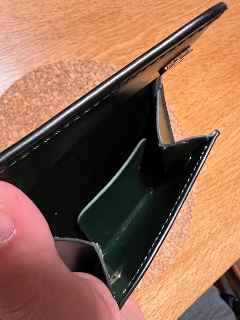 【限定】WILDSWANS タング　グリーン