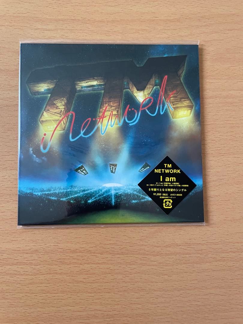 TM NETWORK Incubation Period パンフCD DVD