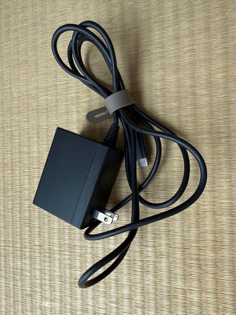 Nintendo Switch Lite コーラル 本体 ケース 充電器付き