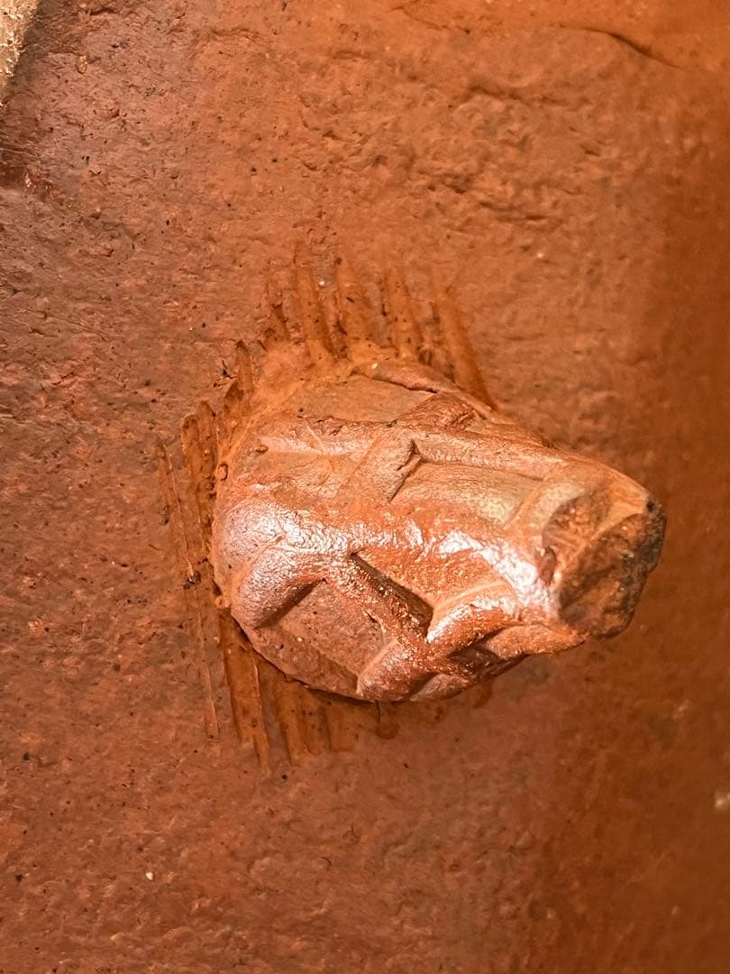 小西陶蔵の備前焼長方形皿