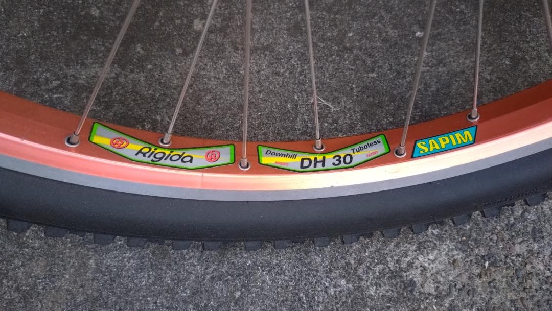 MAGURA Gustav M Rigida DH30 SAPIM 前後セット