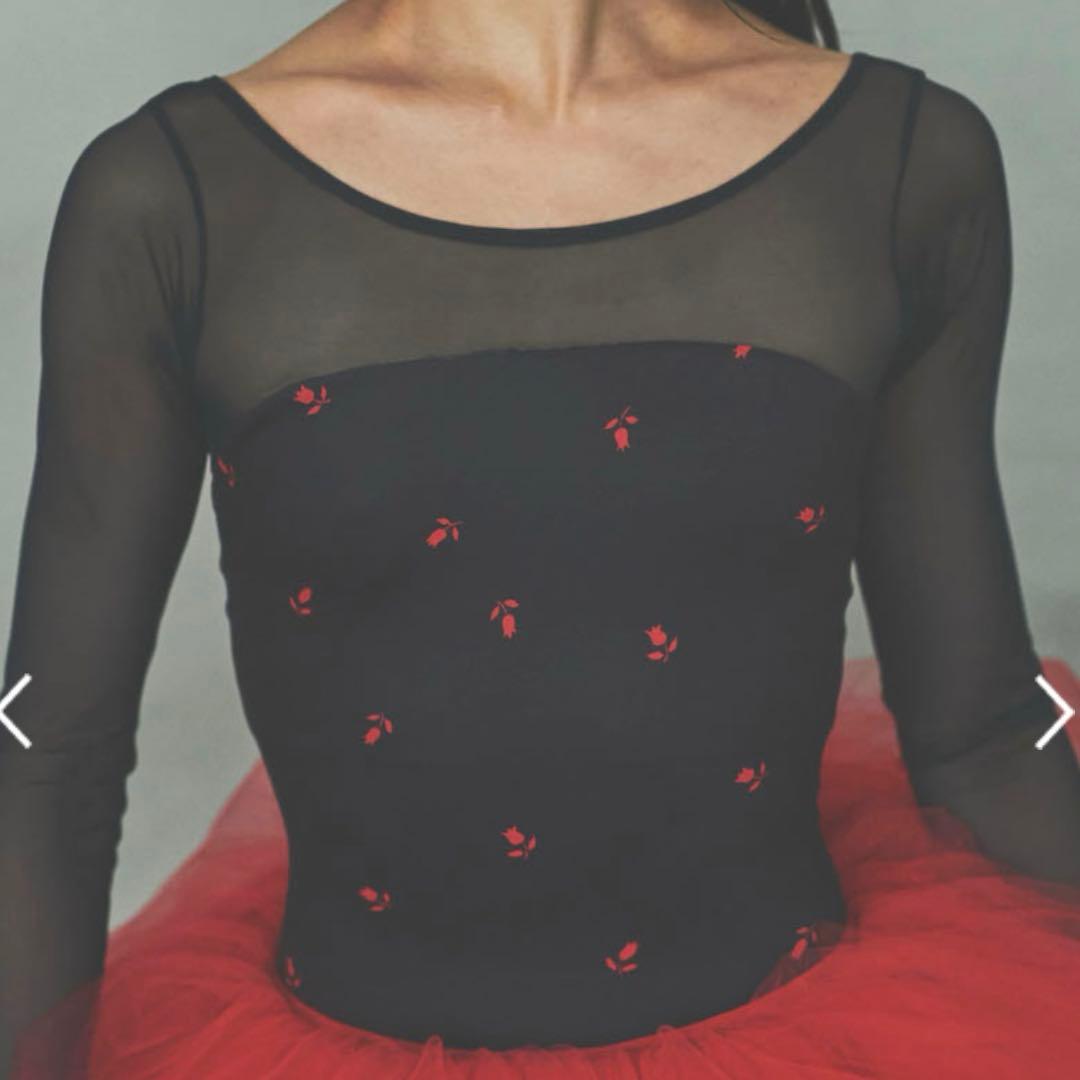 美品スティナバレエ レオタード(Lサイズ)スカートセットtype T