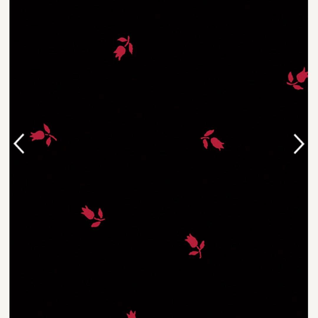 美品スティナバレエ レオタード(Lサイズ)スカートセットtype T