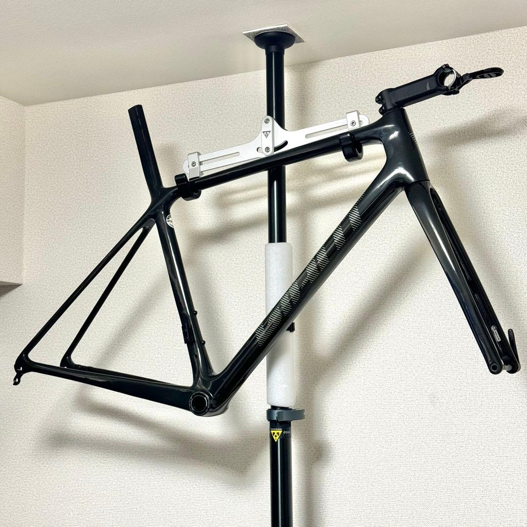 GIANT TCR ADVANCED SL DISC 2024フレームセット