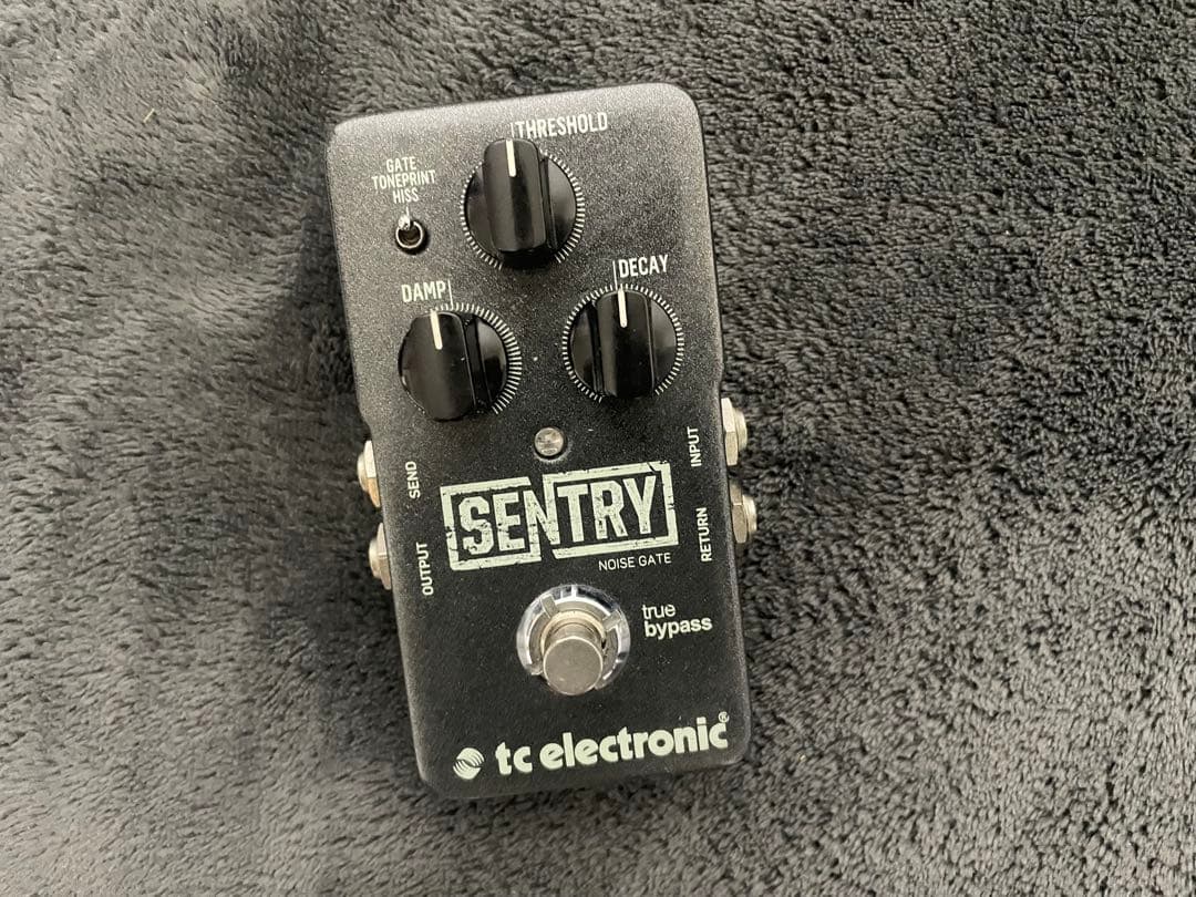 TC ELECTRONIC Sentry Noise Gate 美品❗️