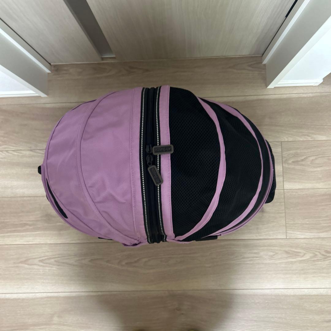 エアバギー　DOME2 サイズSM ライラックカラー　美品　価格改定値下げです。