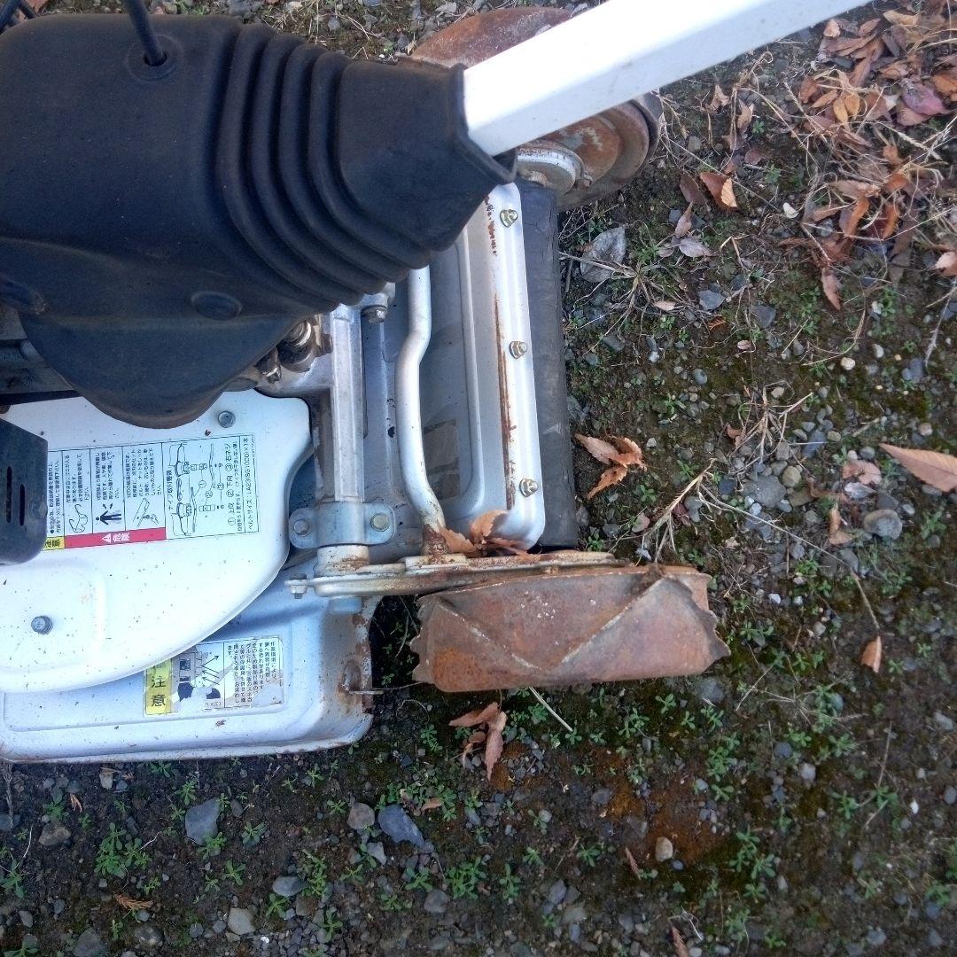 スパイダルモア引取限定