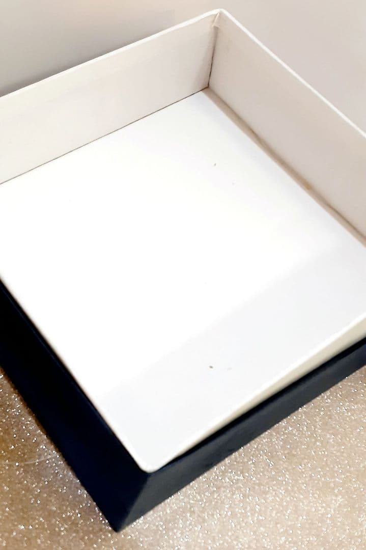 貴重！浄法寺塗❁︎漆器❁︎未使用❁︎注意点あり！ 朱色 黒