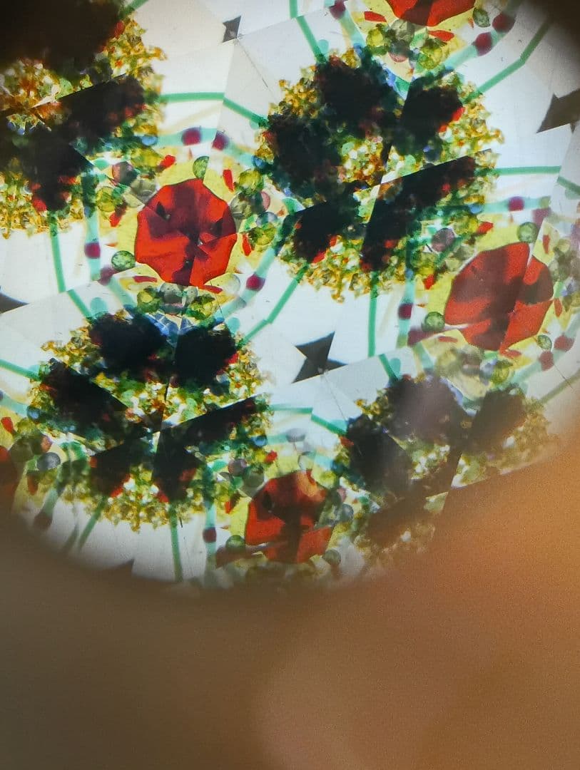 万華鏡　カレイドスコープ　David Collier デビッド・コリアー