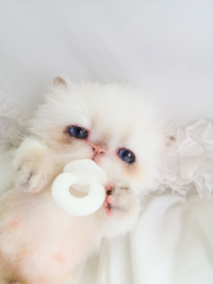 Milky様❤️オーダー♡子猫ぽっぷちゃん♡おしゃぶり♡アートドール♡ぬいぐるみ