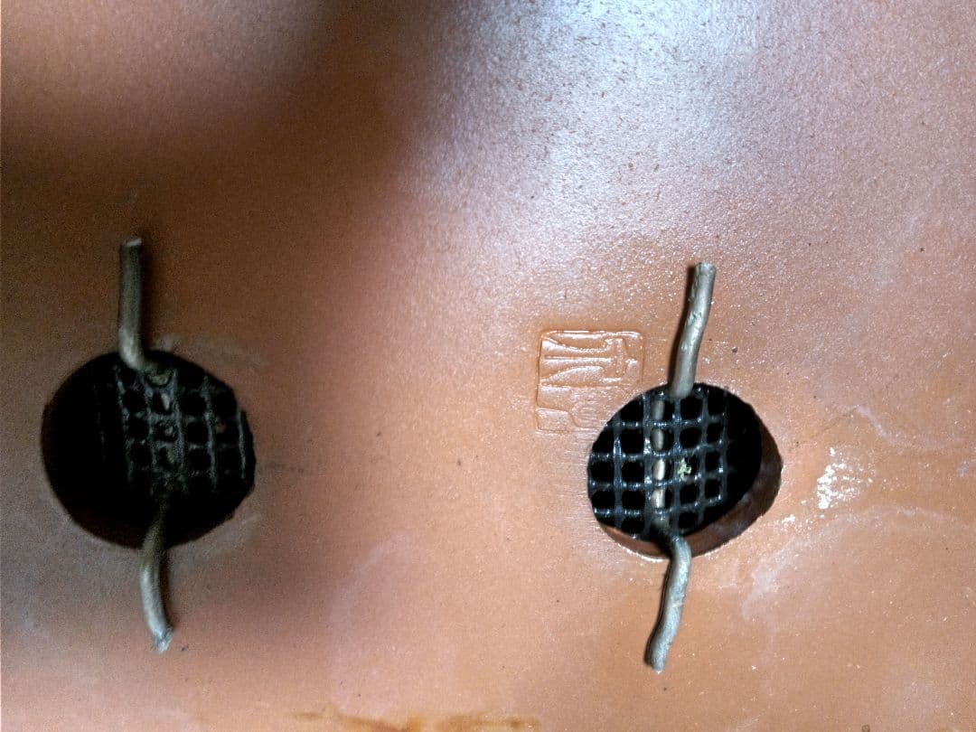 【中品　 糸魚川真柏栽】 　　　☆ 樹齢100年超 明星山採取