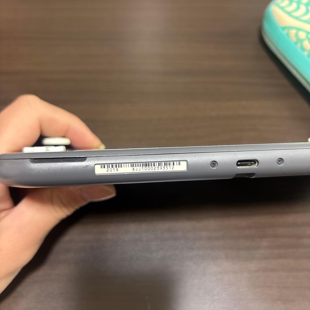 Nintendo Switch Lite グレー 本体と充電器付き