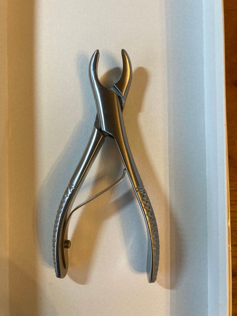 帝塚山ハウンドカム 犬用 歯石取りペンチ＆スケーラー （平型）2点 デンタルケア