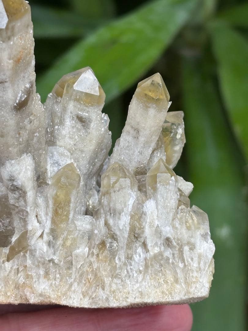 天然シトリン　キャンドルクォーツ　クラスター　367g かわいい　自立します