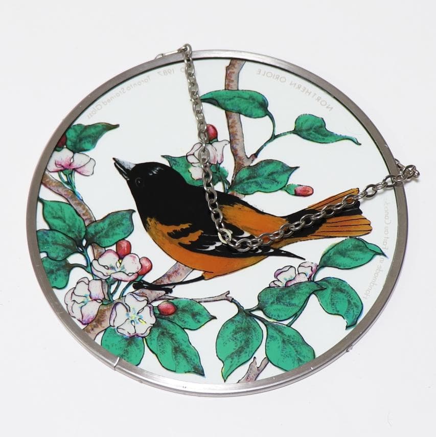 ボルチモアムクドリモドキ ヴィンテージ ステンドグラス トロント カナダ 鳥