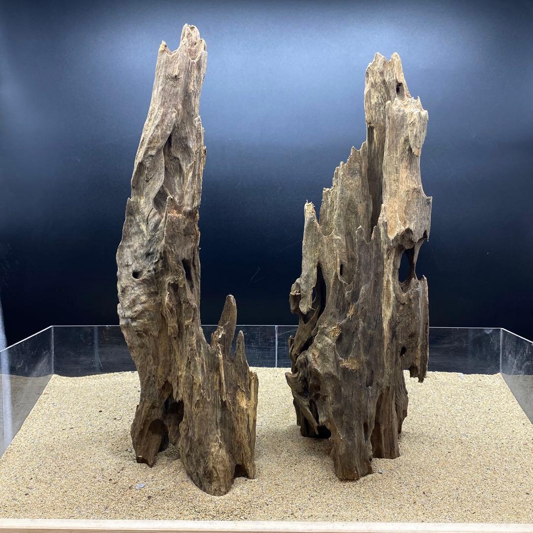 MMW-6402 自立マシンガンウッド2本セット　流木　アクアリウム