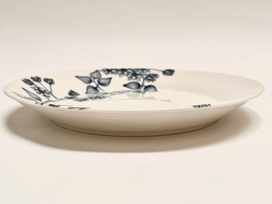 Arabiaアラビア ルノサマーレイ、ウィンタースター プレート2枚組26cm