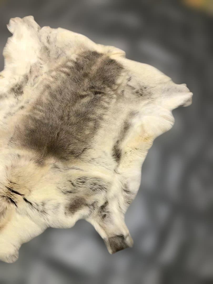 送料無料 POKKA トナカイ ムートン 天然本革 高級毛皮 251113