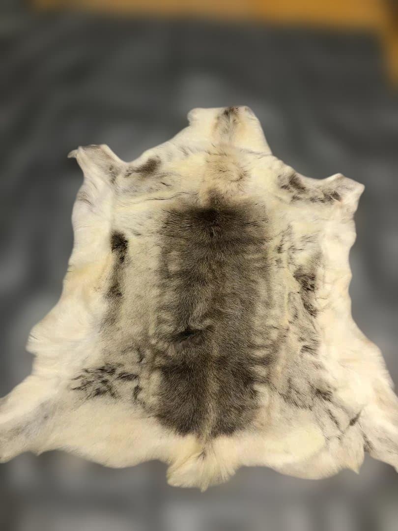 送料無料 POKKA トナカイ ムートン 天然本革 高級毛皮 251113