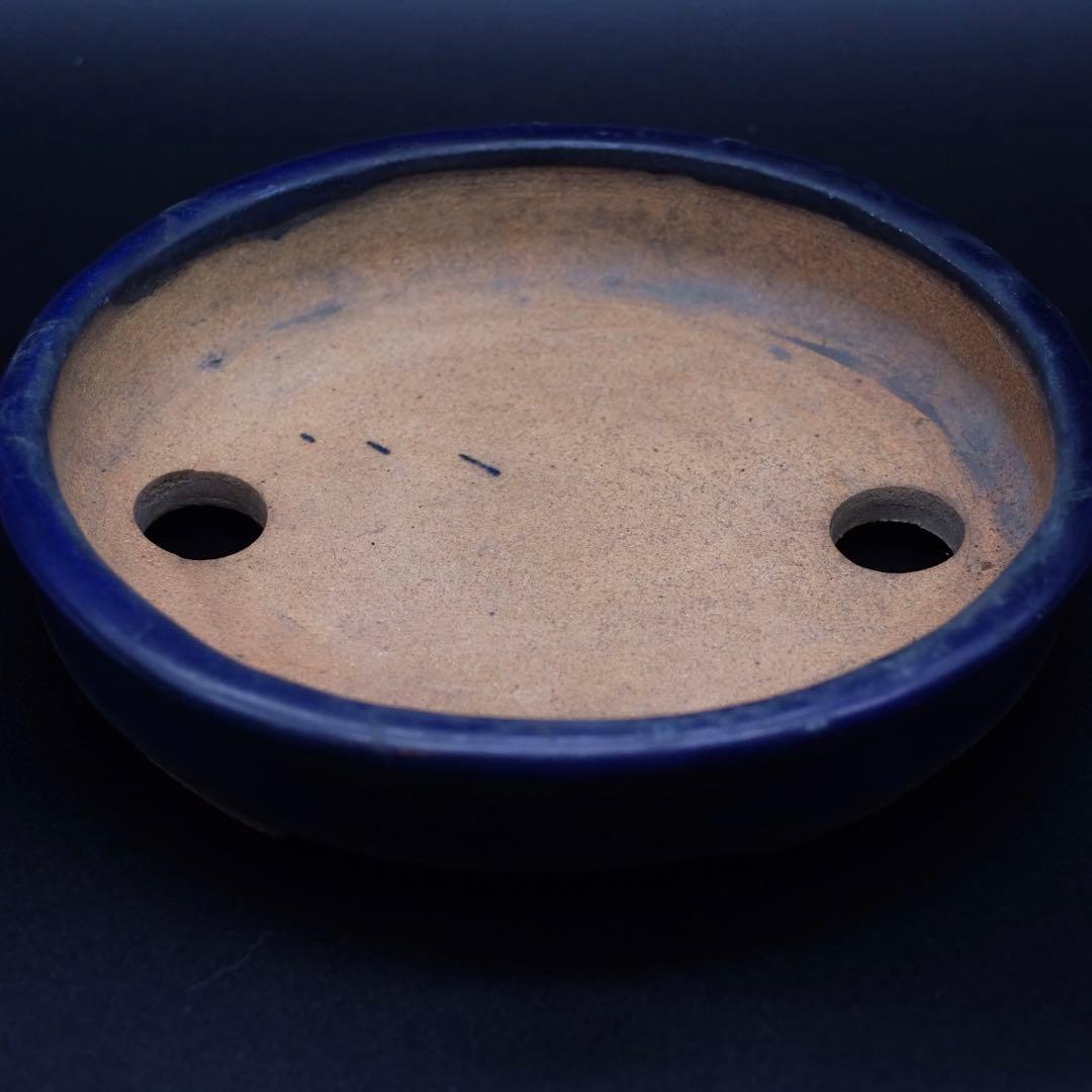 市川苔州　盆栽鉢　瑠璃楕円