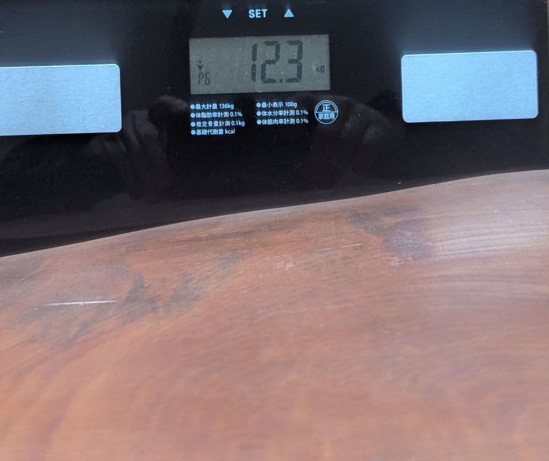 ラスト価格。創価学会　池田名誉会長　人間革命　１枚板