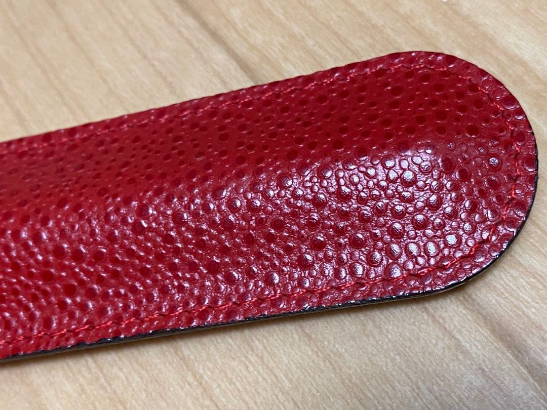 WATERMAN ウォーターマン 万年筆 ペンケース付き　インクなし