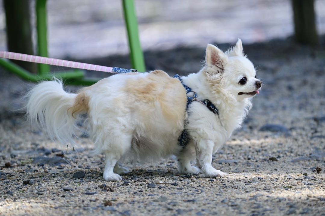 画像確認用　左半身