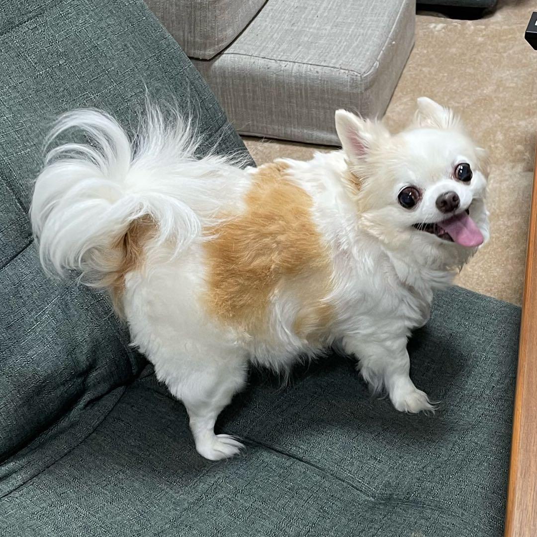 画像確認用　左半身