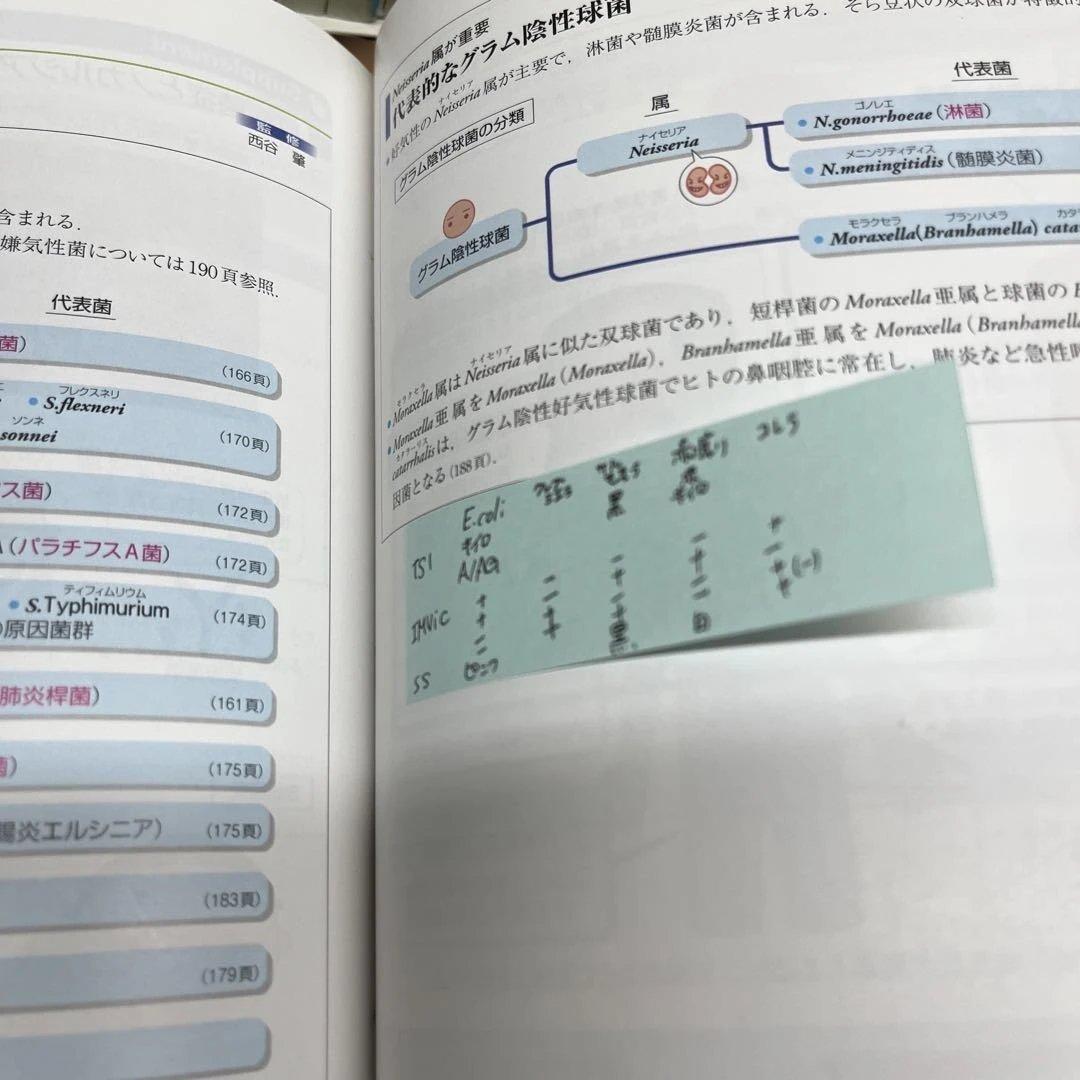 真凛さま専用　病気がみえる 1-10巻セット(3巻なし) 書き込みあり
