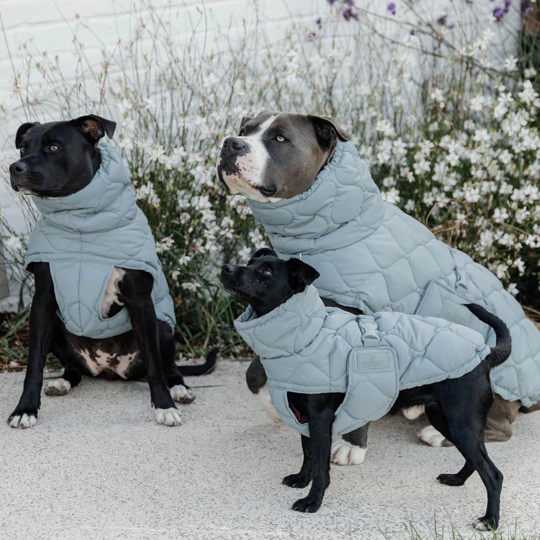 Kentucky Dogwear 未使用 コート ダウン 中綿入り