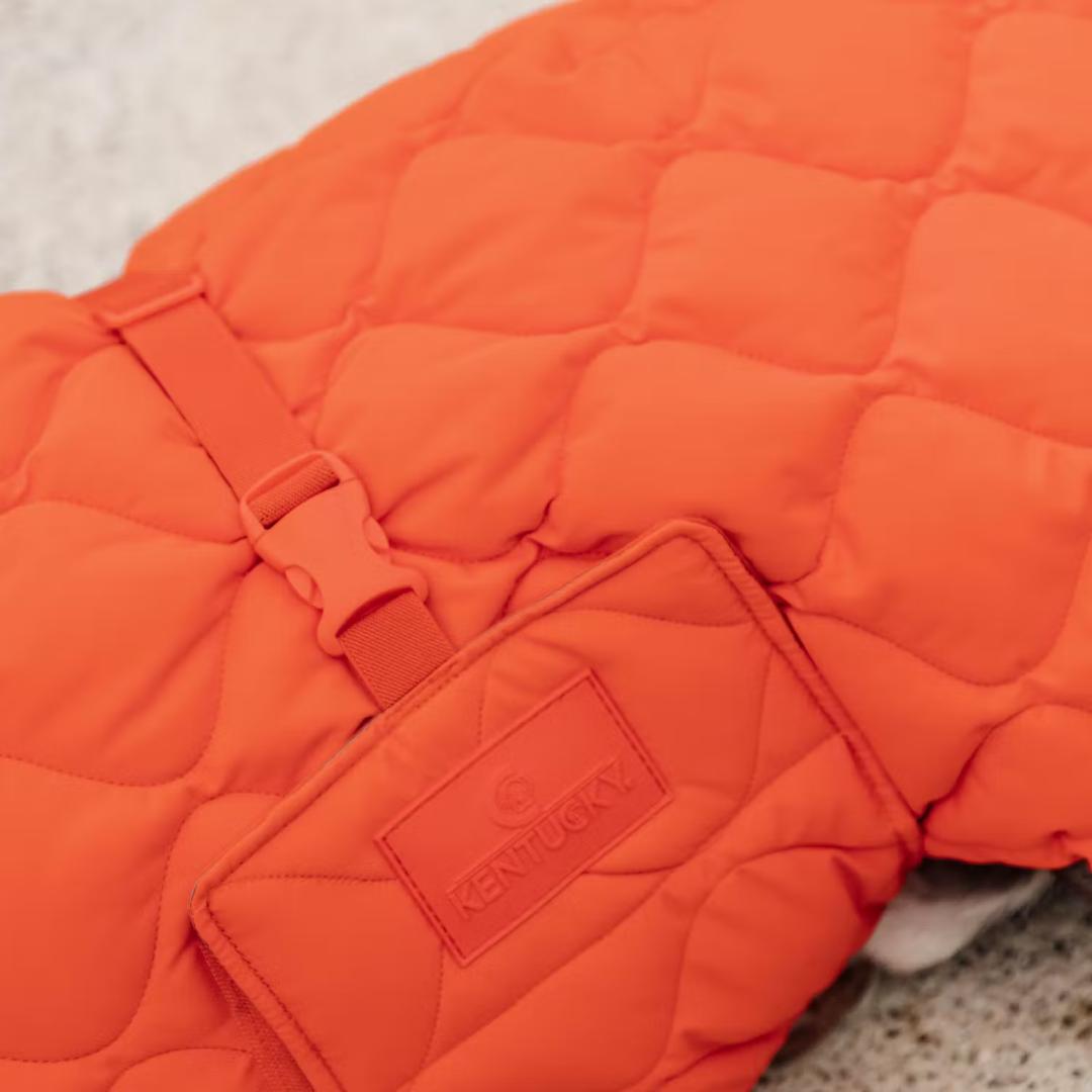 Kentucky Dogwear 未使用 コート ダウン 中綿入り