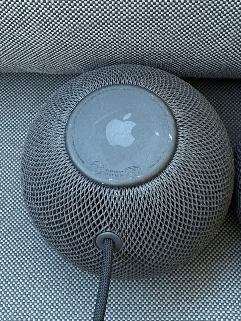 Apple Pod mini 2個セット（黒）