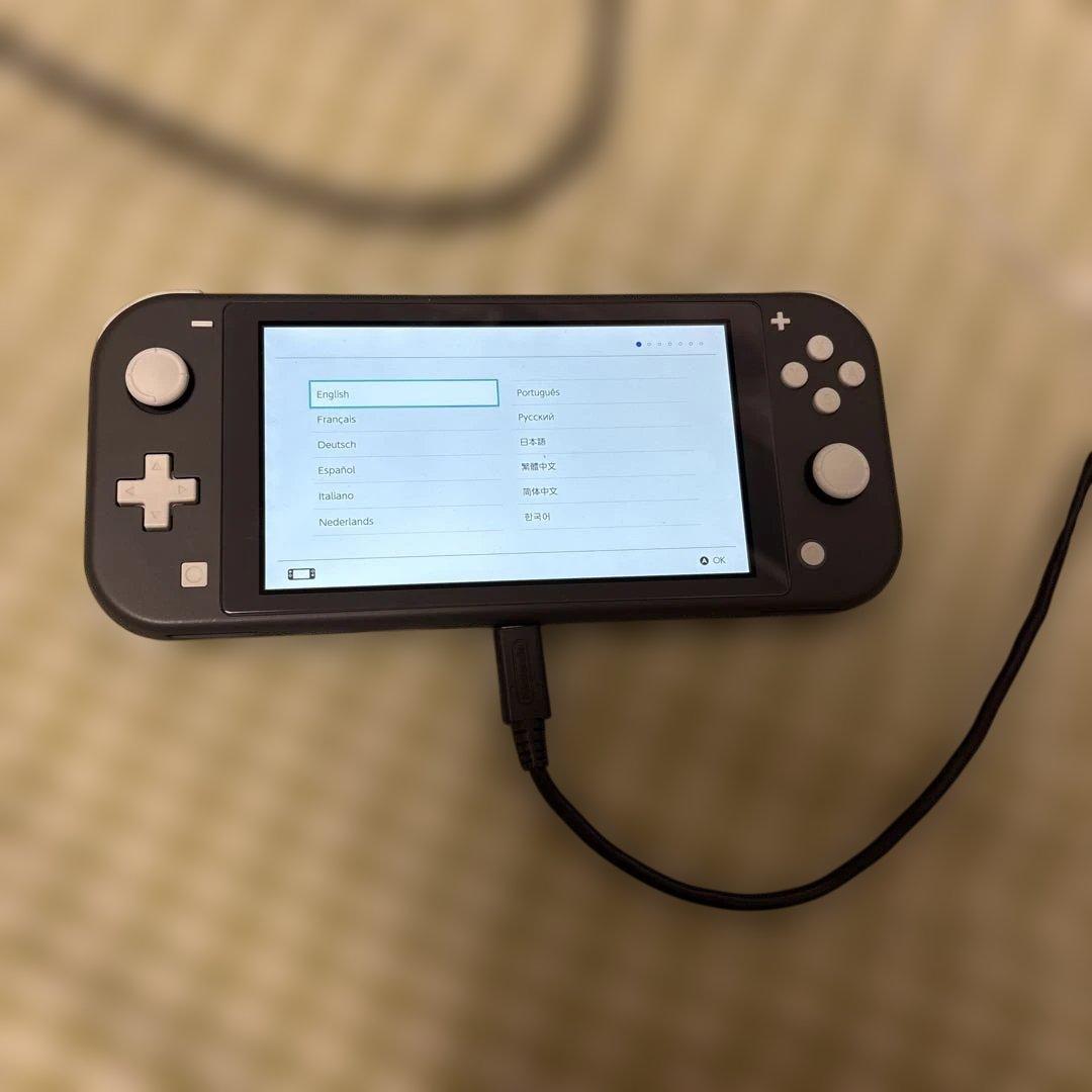 Nintendo Switch Lite グレー　一部難あり　その2