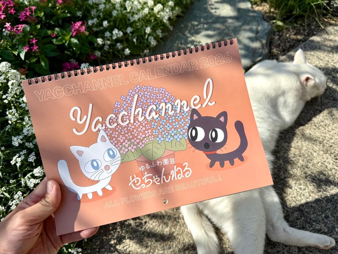 ◆◆ハッピーくうちゃん専用◆◆ゆるふわ園芸やっちゃんねる