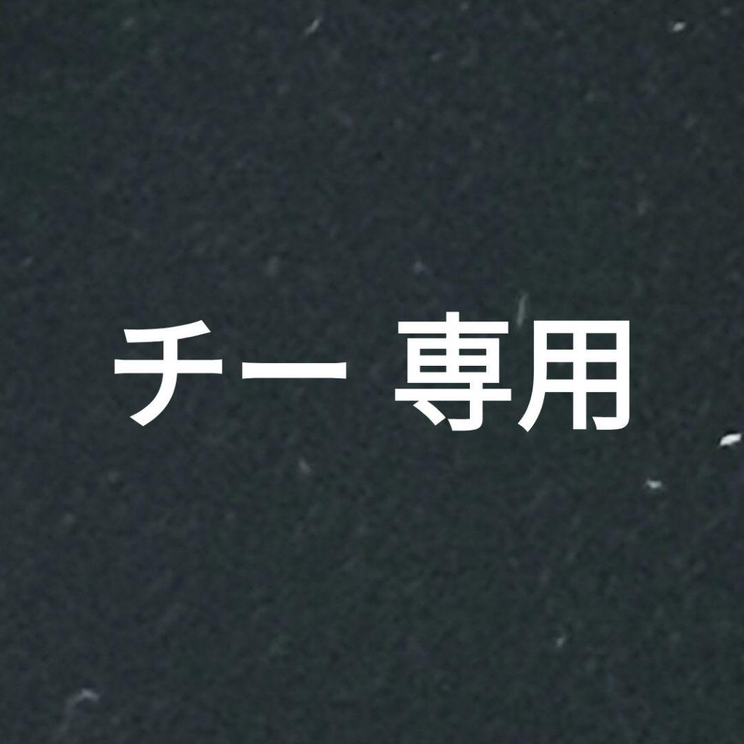 チー 専用