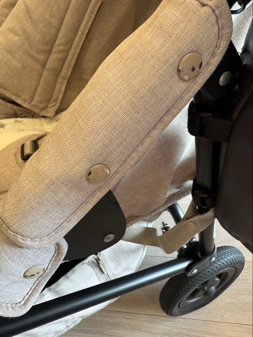 ベビーカー・バギー Air Buggy COCO DOUBLE EX FROM BIRTH