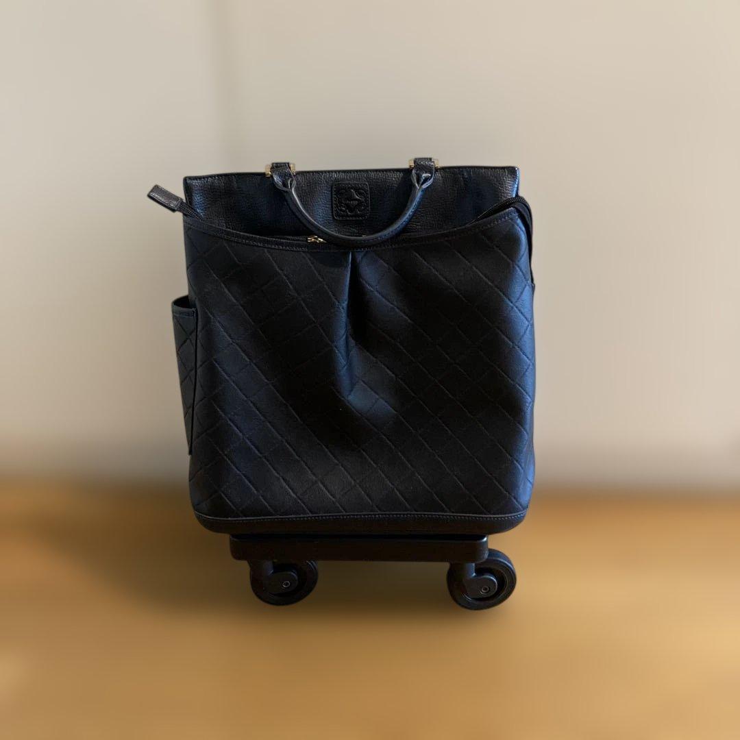 SWANYスワニー車輪止め用ストッパー付きキャリーケース