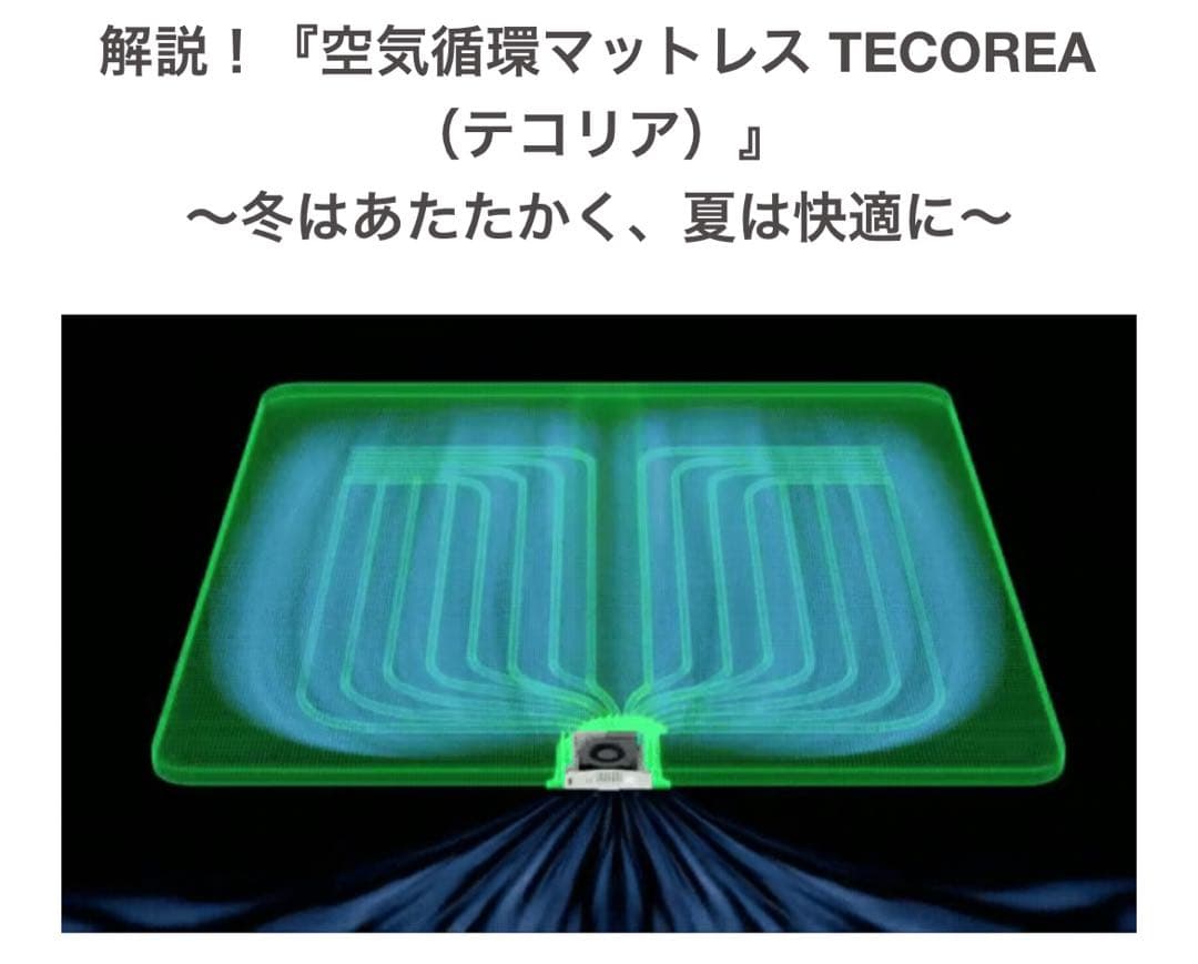 【新品】【定価80%OFF】 空気循環マットレス テコリア シングル