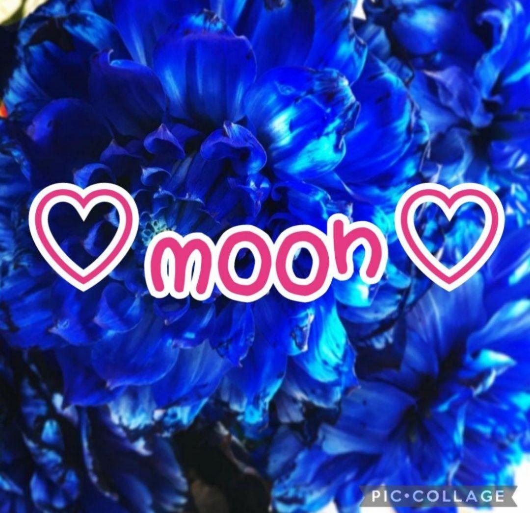 ハンドメイドアクセサリー ピアス ネックレス moon様☆