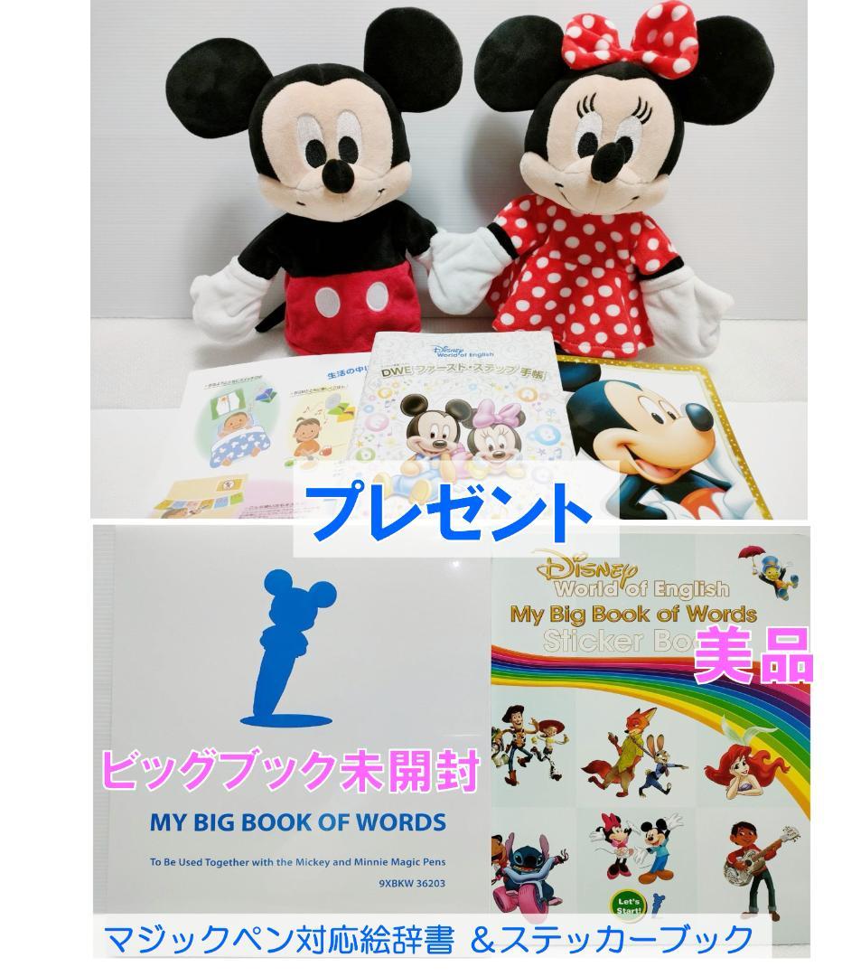 【24wk ①】未開封未使用多数 2024年最新版フルセット DWE