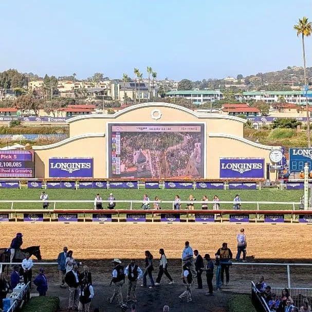 フォーエバーヤング BCクラシック2025 単勝馬券